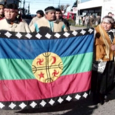 Ejecutivo le quita urgencia a reforma constitucional que reconoce a los pueblos originarios