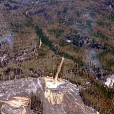 Empresarios madereros responsabilizan a grupos subversivos de incendios forestales intencionales