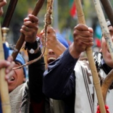 Premio Nobel de la Paz pide a Piñera que revierta la “persecución” contra mapuches