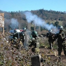 Corte Suprema rechaza recurso de protección de INDH en favor de menores mapuches