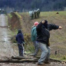 Piden declarar estado de sitio en la Araucanía por violencia en zona mapuche