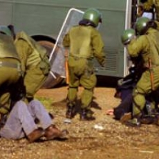 Dos menores heridos durante desalojo de tierras ocupadas en la Araucanía