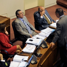 Tormenta perfecta en la Concertación tras votar dividida la Ley de Pesca