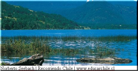 Gobierno asegura que dialogará con mapuche que se oponen a proyecto de Endesa en Neltume