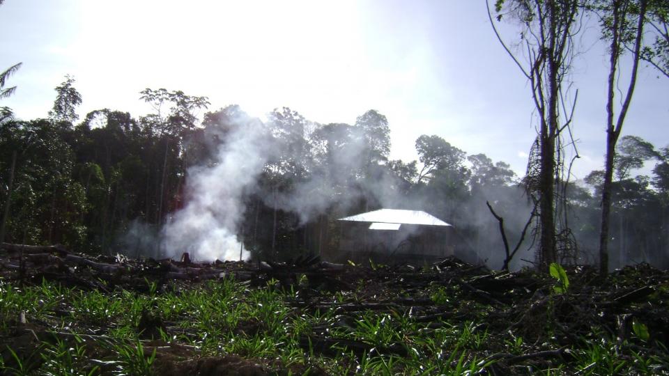 Transición hacia el post-conflicto y compromisos frente al cambio climático