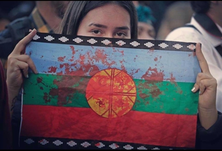 Estado plurinacional en el debate mapuche 