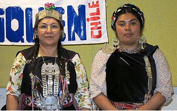 Interposición Mapuche ante Relatorías ONU por derechos territorio Huilliche
