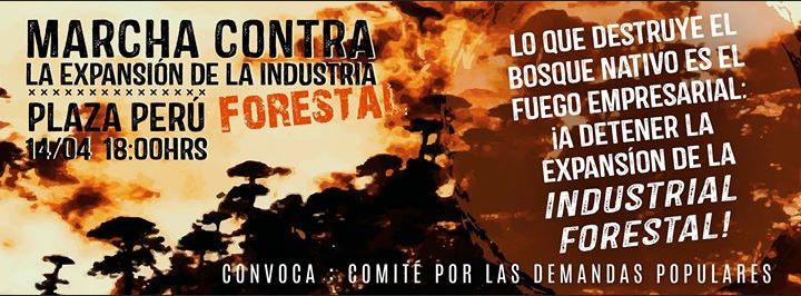 MARCHA CONTRA LA EXPANSIÓN DE LA INDUSTRIA FORESTAL.