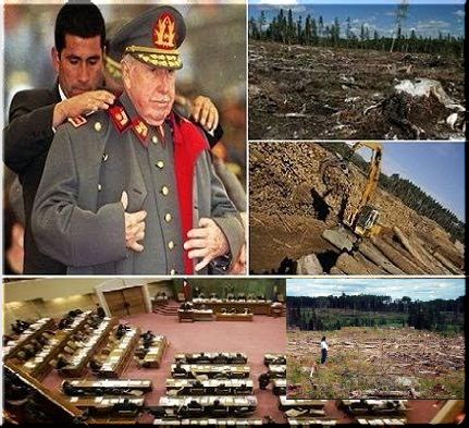 Territorios en alerta: Amplio rechazo a prórroga  Decreto Ley forestal 701 