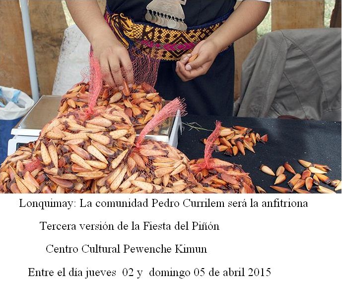 Lonquimay: La comunidad Pedro Currilem será la anfitriona Tercera versión de la Fiesta del Piñón