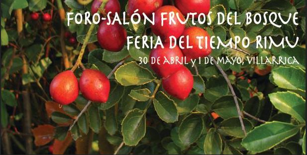 Chile, Villarrica encuentro-feria-muestras-trawun-exposiciones  Trabajo y Bosque nativo