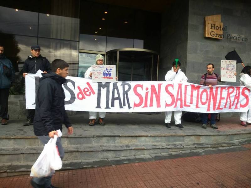 Terminar con certificaciones ambientales a depredadoras industrias  