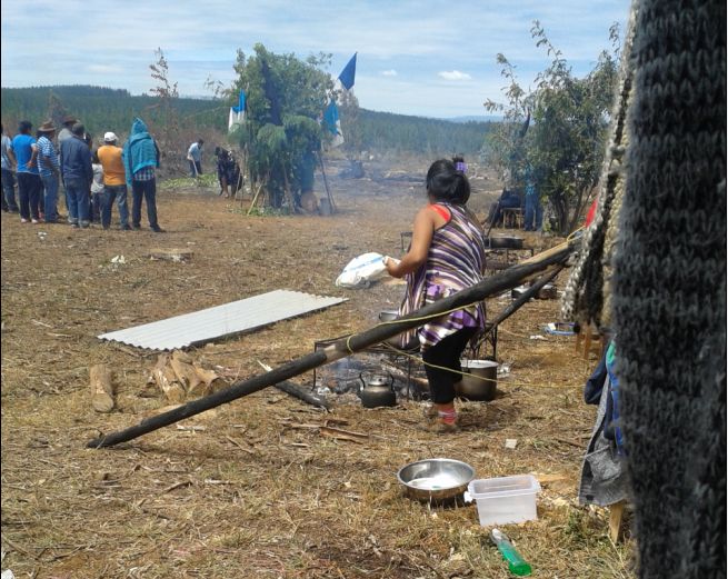 Comunidades mapuche realizan Guillatun por recuperación territorial en manos de empresas forestales