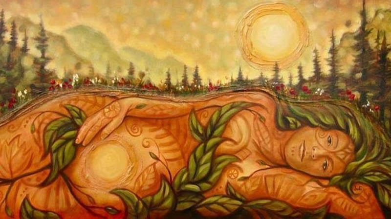 Sobre los Derechos de la Naturaleza