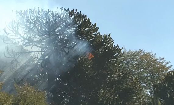Comunidades Mapuche combaten incendio en Quinquén (Video)