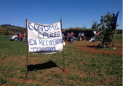 Corte de Apelaciones de Temuco acoge recurso de amparo presentada por INDH