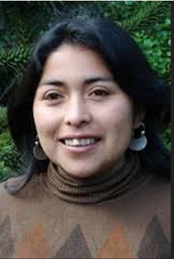  La mirada crítica de una especialista mapuche en educación