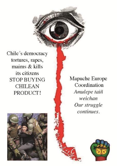 International Campaign - Boycott Chilean products!
