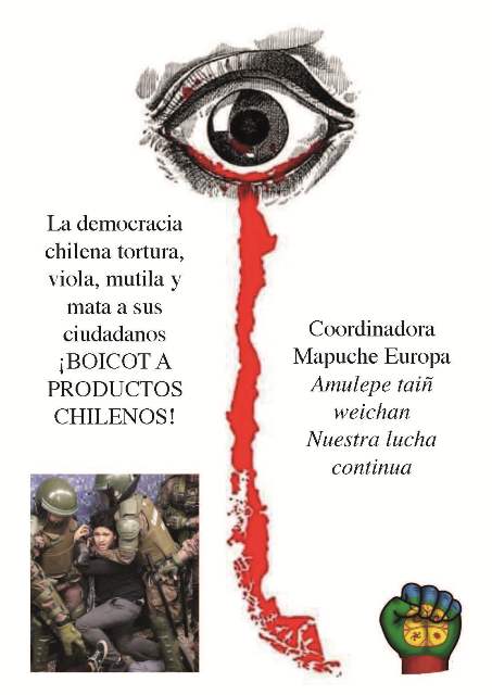 Campaña internacional - boicot a exportaciones chilenas