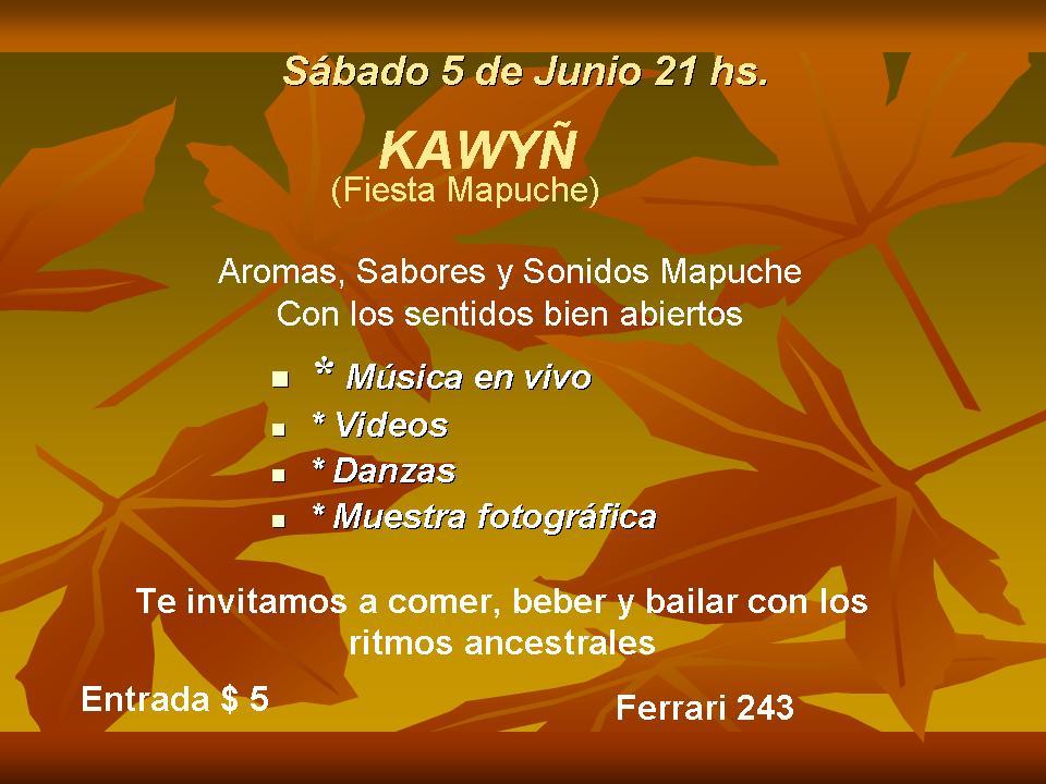 Fiesta Mapuche 