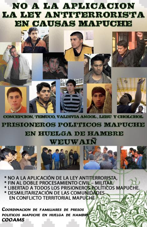 34 PRISIONEROS POLÍTICOS MAPUCHE EN HUELGA DE HAMBRE