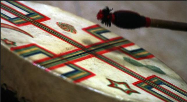 Comunidad mapuche denuncia que forestal perjudicó vegetación y recursos hídricos en Lanco