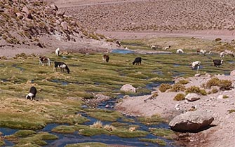 Suprema aplica Convenio 169 y reconoce derechos de aguas ancestrales