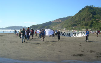 Detractores de ducto en Valdivia preparan acciones legales