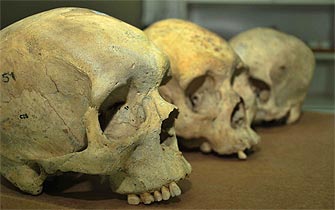 Científicos descifrarán la verdadera historia de los chono