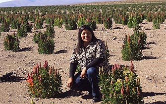La lucha de los pueblos originarios chilenos contra el cambio climático