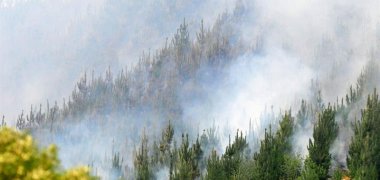 CARAHUE: BOMBEROS NO MANEJA TESIS TERRORISTA EN ORIGEN DEL INCENDIO