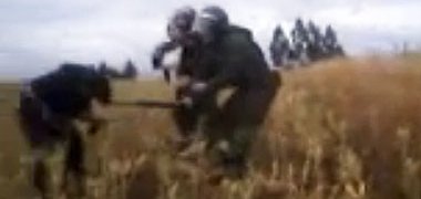 Duro fallo contra carabineros por agresión a mapuches en Metrenco