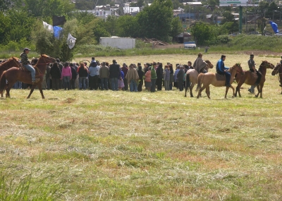 Consejo Mapuche de Maquehue da ultimátum a gobierno por compromiso de restitución de tierras