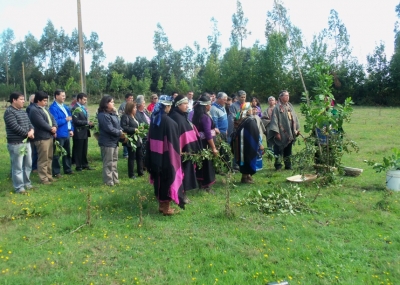 Las "cuentas claras" en la Comunidad mapuche Manuel Coilla