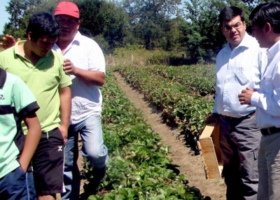 Desde Silicon Valley visitan Cooperativa mapuche