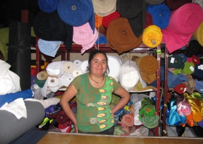 Jóvenes Mapuche comienzan a hacer realidad sus emprendimientos