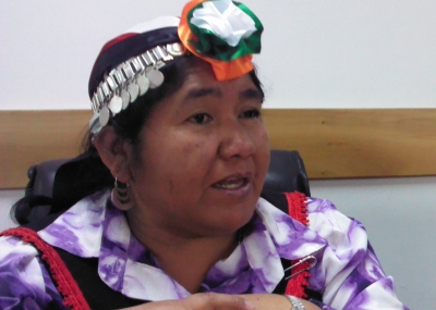 Consejeros Mapuche exigen conocer ejecución presupuestaria de Conadi