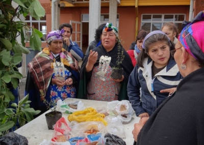 Curadoras de semillas protagonizan Trafquintu en Cholchol