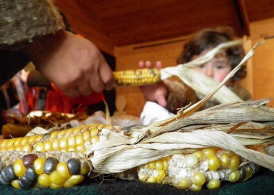 Proclamación por el cuidado de la semilla y la soberanía alimentaria del wallmapu
