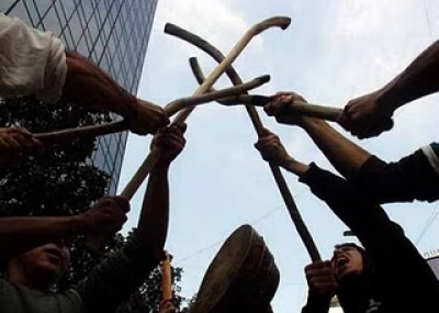 Mapuche del sector Pantano en Traiguén inician proceso de recuperación territorial