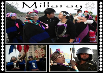 "Flor Dorada" de un jardín de Dignidad que quieren sepultar con pinos y eucaliptos en el Territorio 