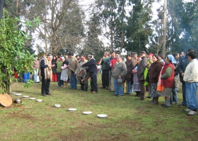 Comunidades de Collipulli se preparan para Wetxipantu, Año Nuevo Mapuche
