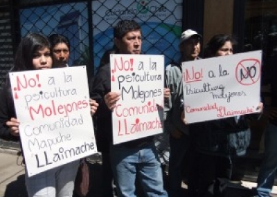 Empresa salmonera retira cuestionado proyecto de piscicultura en tierras mapuche