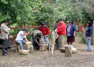 500 mapuche se capacitan en la fabricación de instrumentos musicales ceremoniales en La Araucanía