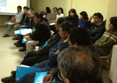 Mapuche analizaron la consulta indígena