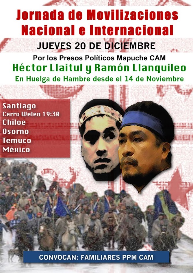 Hasta 15 kilos de peso han bajado los presos mapuche en huelga del hambre