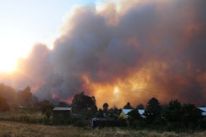 Fiscal investiga origen de incendio en Biobío que afecta a zona con 100 mil habitantes