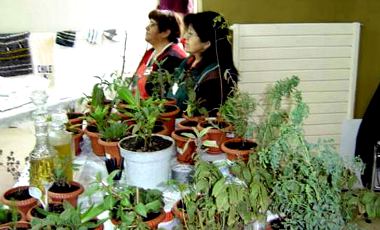 Conadi implementa plan de salud intercultural que beneficiará a cerca de 30 mil indígenas de Magalla