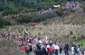 Presentan querella contra general de Carabineros por muerte de mapuche