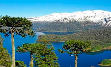 Sernatur de La Araucanía viajará a Alemania e Inglaterra